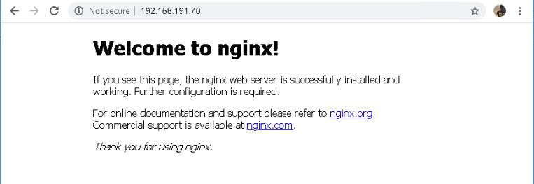 nginx landing page